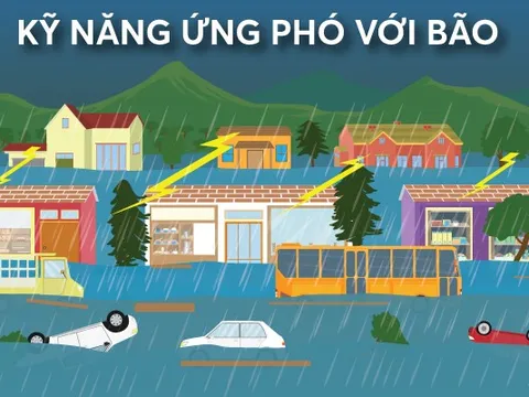 Infographics: Kỹ năng cần biết để ứng phó với mưa bão