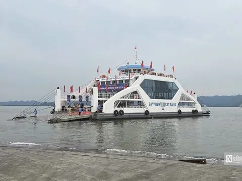 Hải Phòng: Gần 200 du khách mắc kẹt trên đảo Cát Bà trước khi bão đổ bộ