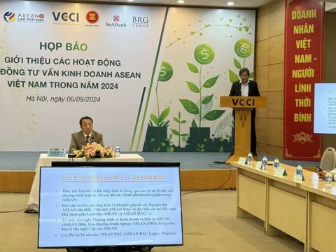 Thúc đẩy hợp tác kinh tế khu vực và nâng cao vai trò của doanh nghiệp Việt