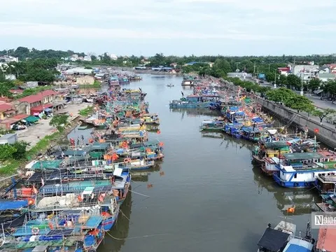 Lãnh đạo Hải Phòng kiểm tra công tác phòng, chống bão số 3