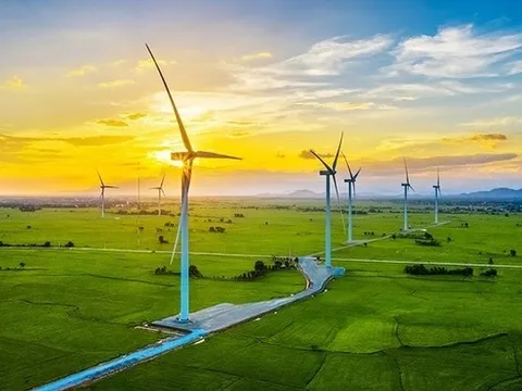 Tin vui cho ngành năng lượng tái tạo Việt Nam
