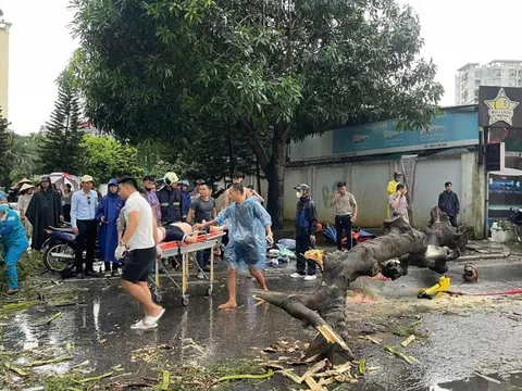 Hà Nội đã có người thương vong do bão số 3