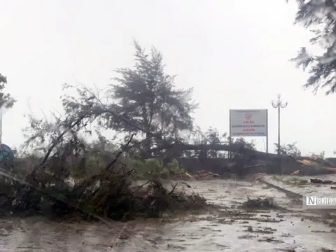 Quảng Ninh: Một người chết, 13 người mất tích trên biển