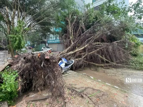 4 người thiệt mạng, 78 người bị thương do bão số 3