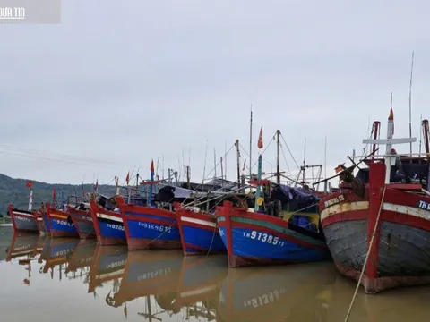 Thanh Hóa: Huy động hơn 17.000 bộ đội, dân quân tự vệ sẵn sàng chống bão