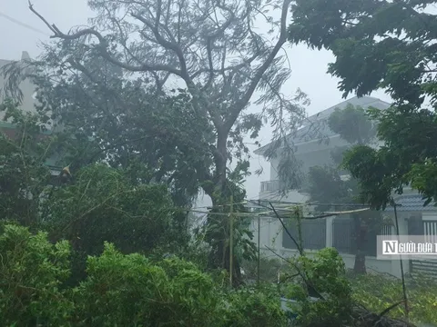 Bão số 3 quần thảo dữ dội nhiều địa phương, tâm bão có thể ở huyện đảo Cát Hải