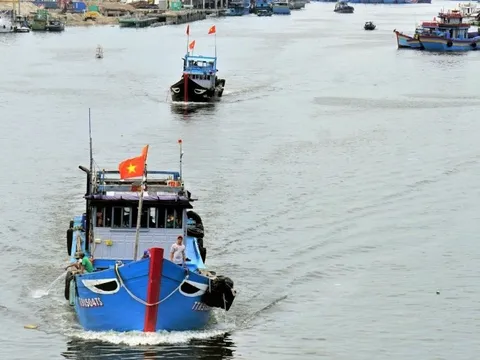 Gỡ 'thẻ vàng' IUU: Địa phương phải quyết liệt hơn