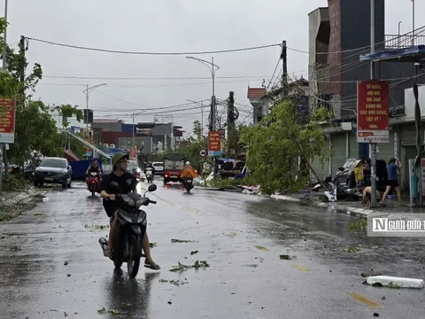 Chùm ảnh: Hải Phòng xác xơ sau khi bão số 3 đổ bộ