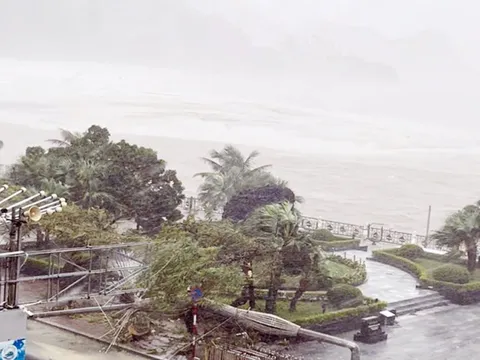 Bão số 3 đổ bộ, quần thảo dữ dội ở Hải Phòng và Quảng Ninh