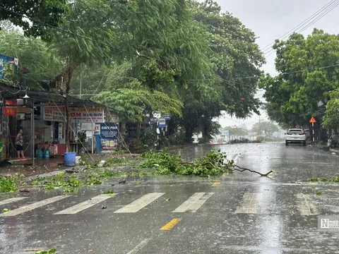 Đồ Sơn và Cát Bà (Hải Phòng) mưa to, gió lớn trước khi bão số 3 đổ bộ