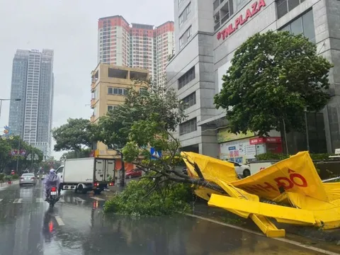 Bão số 3 ảnh hưởng đến Hà Nội, cây đổ la liệt nhiều tuyến phố