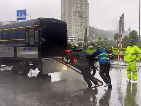 Hải Phòng và Quảng Ninh cấm nhiều cầu phòng chống bão số 3