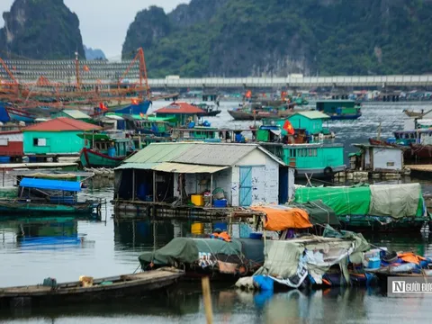 Kiên quyết sơ tán người dân trên các tàu cá đến nơi an toàn
