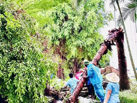 Huyện Thanh Trì: Chủ động phòng ngừa, sẵn sàng ứng phó kịp thời với bão số 3