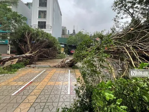 Bão số 3 đang tiến rất gần, Hà Nội mưa bắt đầu nặng hạt, gió rít từng cơn