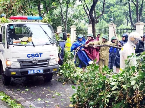 Video clip: CSGT cắt cây gãy đổ, giải phóng đường trong tâm bão