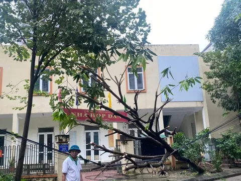 Khôi phục cấp điện, xăng dầu, lương thực ngay sau bão