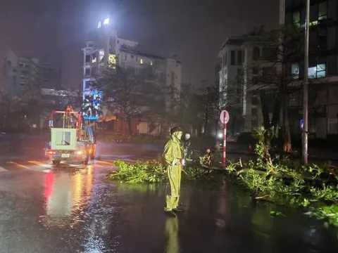 Hải Phòng: Thiệt hại nặng nề sau bão Yagi