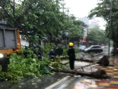 Thái Bình: Thiệt hại ước tính 2.000 tỷ đồng do bão số 3 gây ra