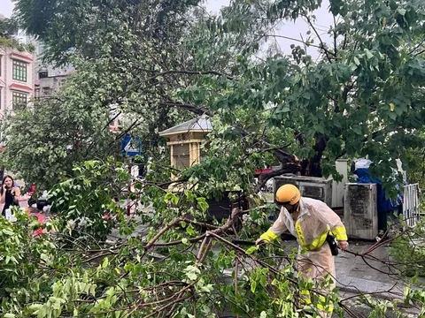 Chủ động phân luồng, dọn cây đổ giúp người dân tham gia giao thông