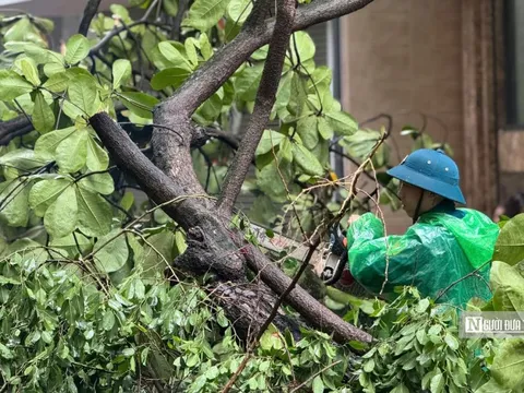 Đường phố tan hoang, Hà Nội tất bật dọn dẹp sau bão