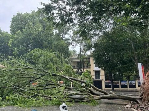 Sẵn sàng lực lượng khắc phục sự cố điện ngay khi bão tan