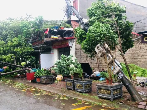 EVNNPC dồn nhân lực hỗ trợ các địa phương ngay khi bão số 3 đi qua