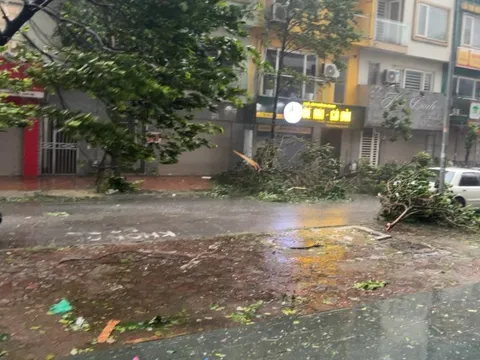 4 người tử vong, 78 người bị thương trong bão số 3