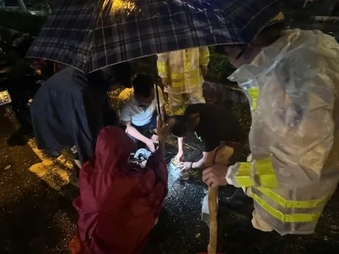 Cảnh sát giao thông cứu kịp thời 1 lái xe bị cây đổ vào ôtô trên đường Láng