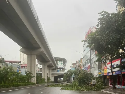 Hà Nội: Nhiều thiệt hại do bão số 3