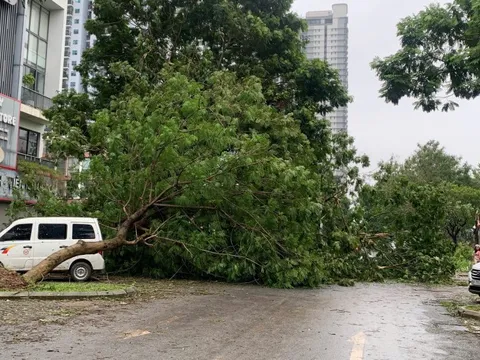 Các điểm phục vụ của bưu điện hoạt động trở lại sau bão Yagi