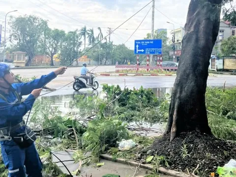 Khẩn trương khôi phục thông tin liên lạc tại Hải Phòng và Quảng Ninh