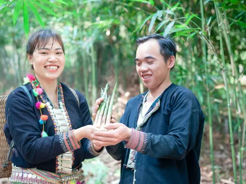 Hỗ trợ chuyển đổi số cho doanh nghiệp nhỏ và vừa tỉnh Lào Cai, Sơn La