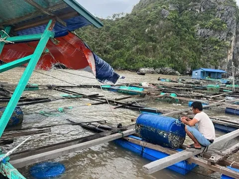 Đảo Cát Bà (Hải Phòng) vẫn bị cô lập sau bão số 3