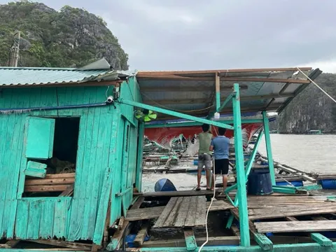 Đoàn tình nguyện viên 150 người giúp Hải Phòng giúp khắc phục hậu quả bão