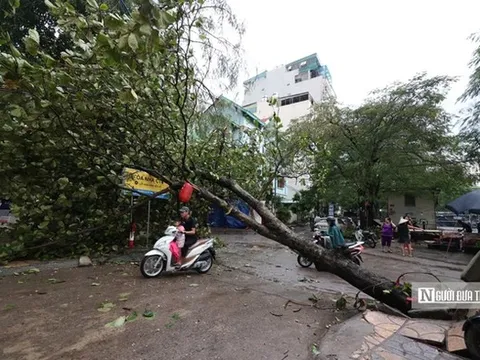 Người dân sẽ được nhận bảo hiểm bồi thường thiệt hại do bão số 3 trước 12/9