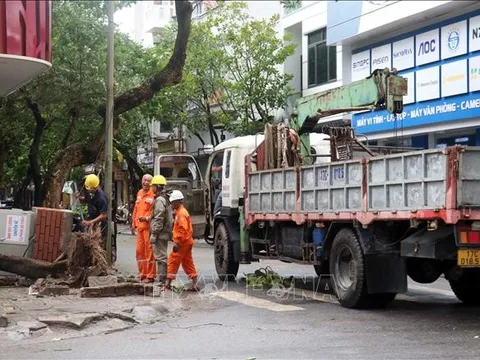 Thái Bình khẩn trương khắc phục sự cố lưới điện 110kV
