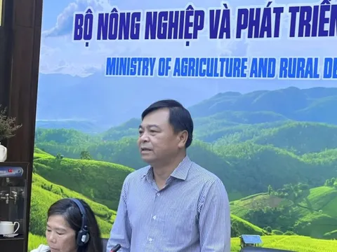 Các tổ chức quốc tế cam kết hỗ trợ Việt Nam giảm thiểu rủi ro do bão số 3 gây ra