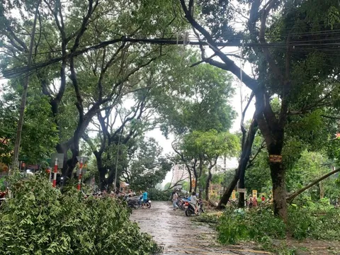 Huy động gần 7.000 cán bộ ứng cứu thông tin và xử lý sự cố tại các trạm BTS