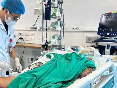 Quan niệm sai lầm, bệnh nhân suy đa tạng do liên cầu lợn