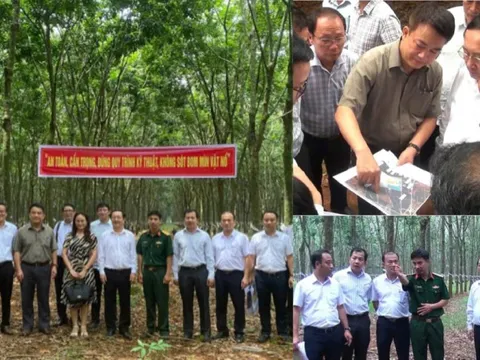 Bảo đảm tiến độ xây dựng lò phản ứng hạt nhân mới công suất 10 MW