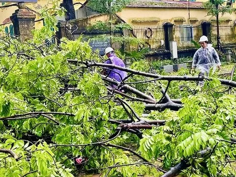 Đà Nẵng hỗ trợ các địa phương phía bắc khắc phục hậu quả thiên tai