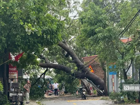 Bộ TT&TT kiến nghị sớm khôi phục điện lưới để phục hồi hoàn toàn mạng viễn thông