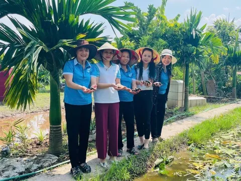 Phát triển kinh tế gia đình từ mô hình nuôi ốc nhồi