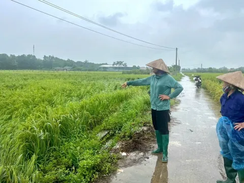 Nông dân Hà Nội trước nỗi lo mất trắng sau bão lũ