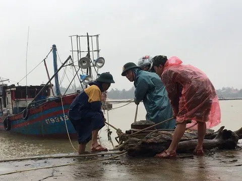 Bão số 3 và hoàn lưu khiến 71 người tử vong và mất tích