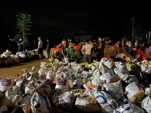 Người dân và lực lượng chức năng ứng phó vỡ đê sông Lô tại Tuyên Quang