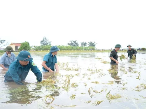 Hà Nội: Báo động lũ mức 1 trên sông Đà tại địa phận Ba Vì