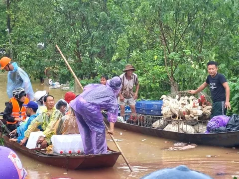Hội Nhà báo Việt Nam kêu gọi ủng hộ khắc phục những thiệt hại do cơn bão số 3 gây ra
