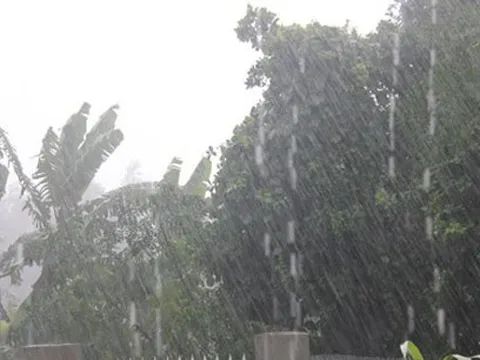 Ngày 11/9, khu vực đồng bằng và Đông Bắc Bắc Bộ có mưa to đến rất to